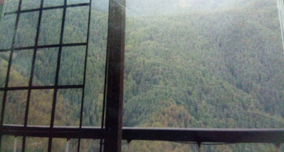 Ishwarlok By Nature, Shimla 5